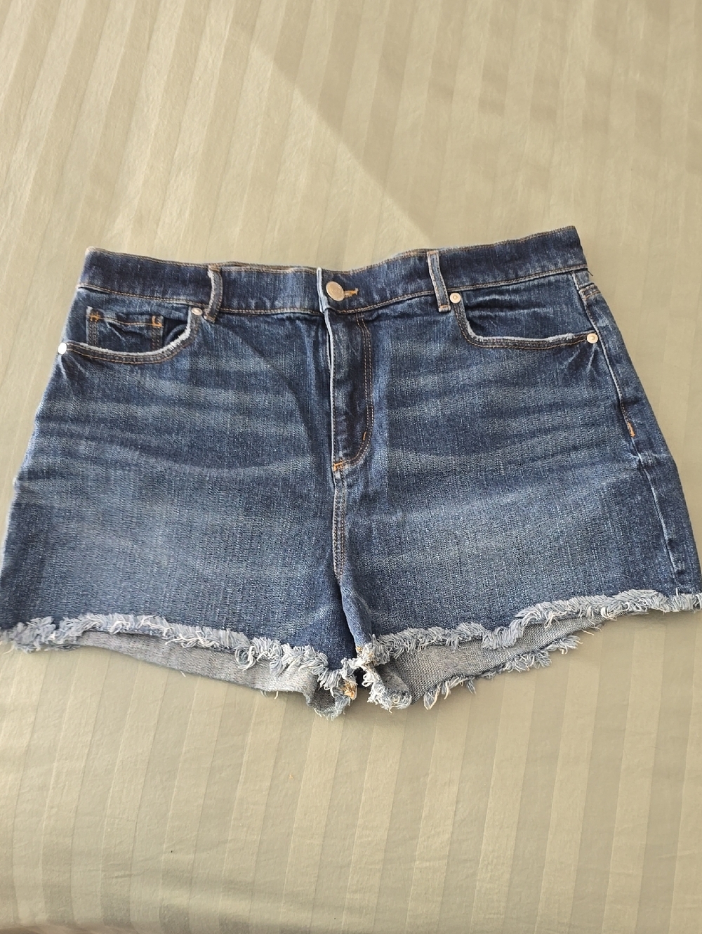 Loft Jean Shorts Size 14